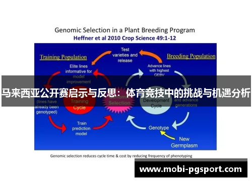 马来西亚公开赛启示与反思：体育竞技中的挑战与机遇分析